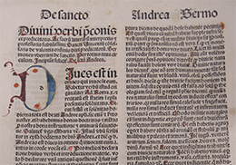 Incunable els sermons 